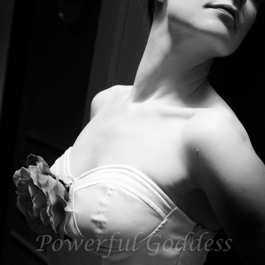 _S5A2352NYC-NJ-Glamour-Grace-Kelly-look-Powerful-Goddess-Portraits-Sharon-Birke